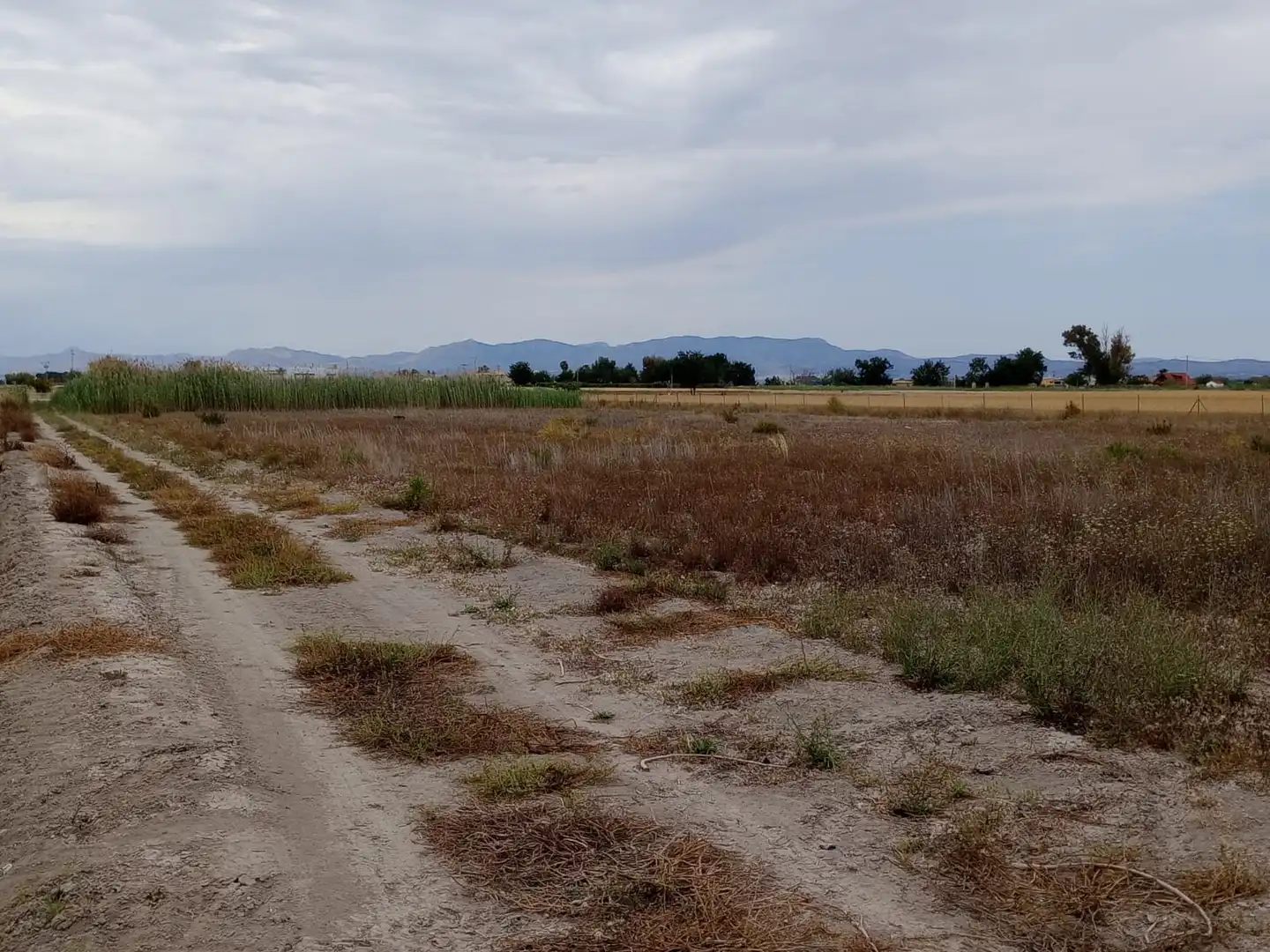 Terreno industrial en venta en Formentera del Segura