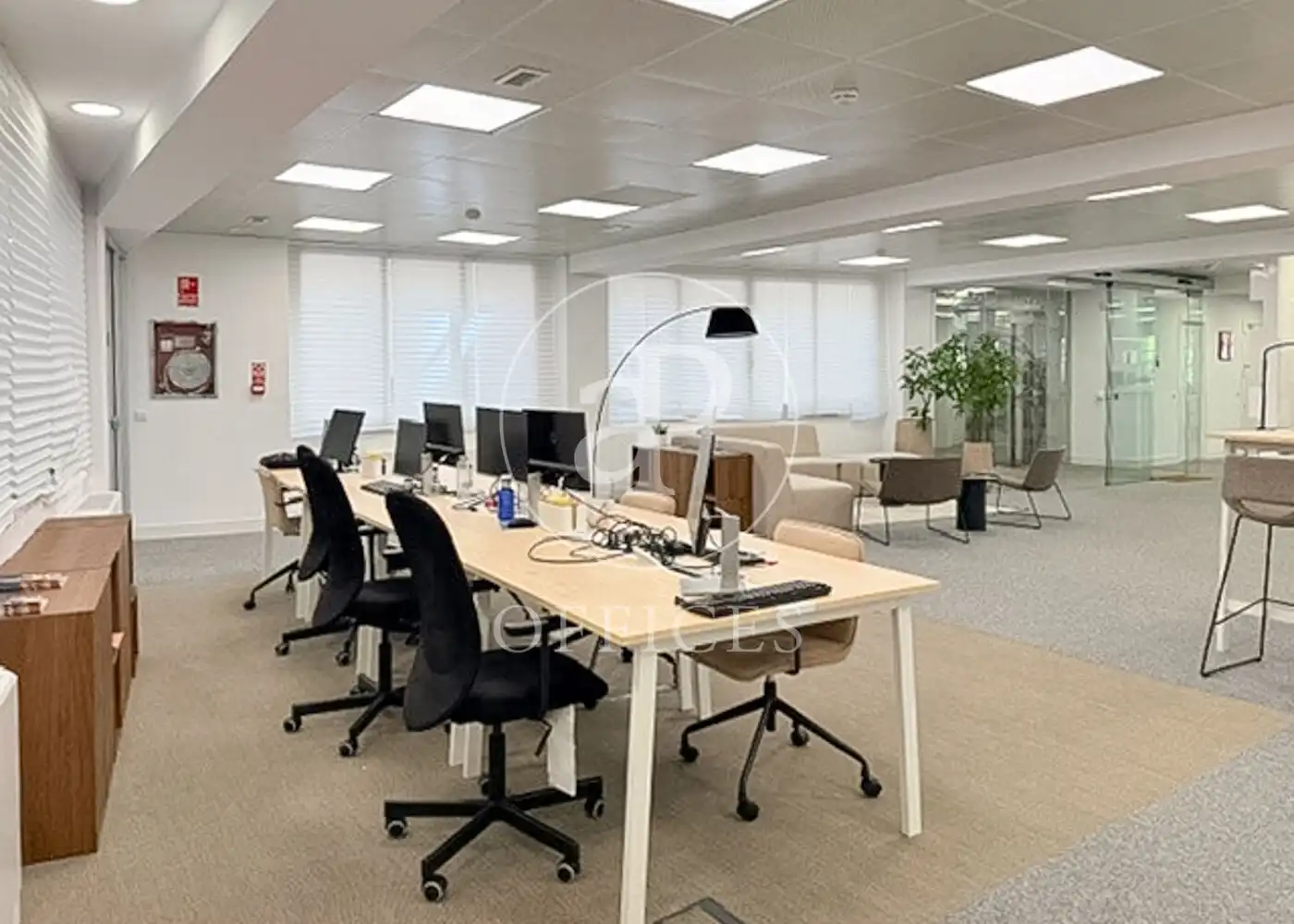 Büro zur Miete in Tetuán