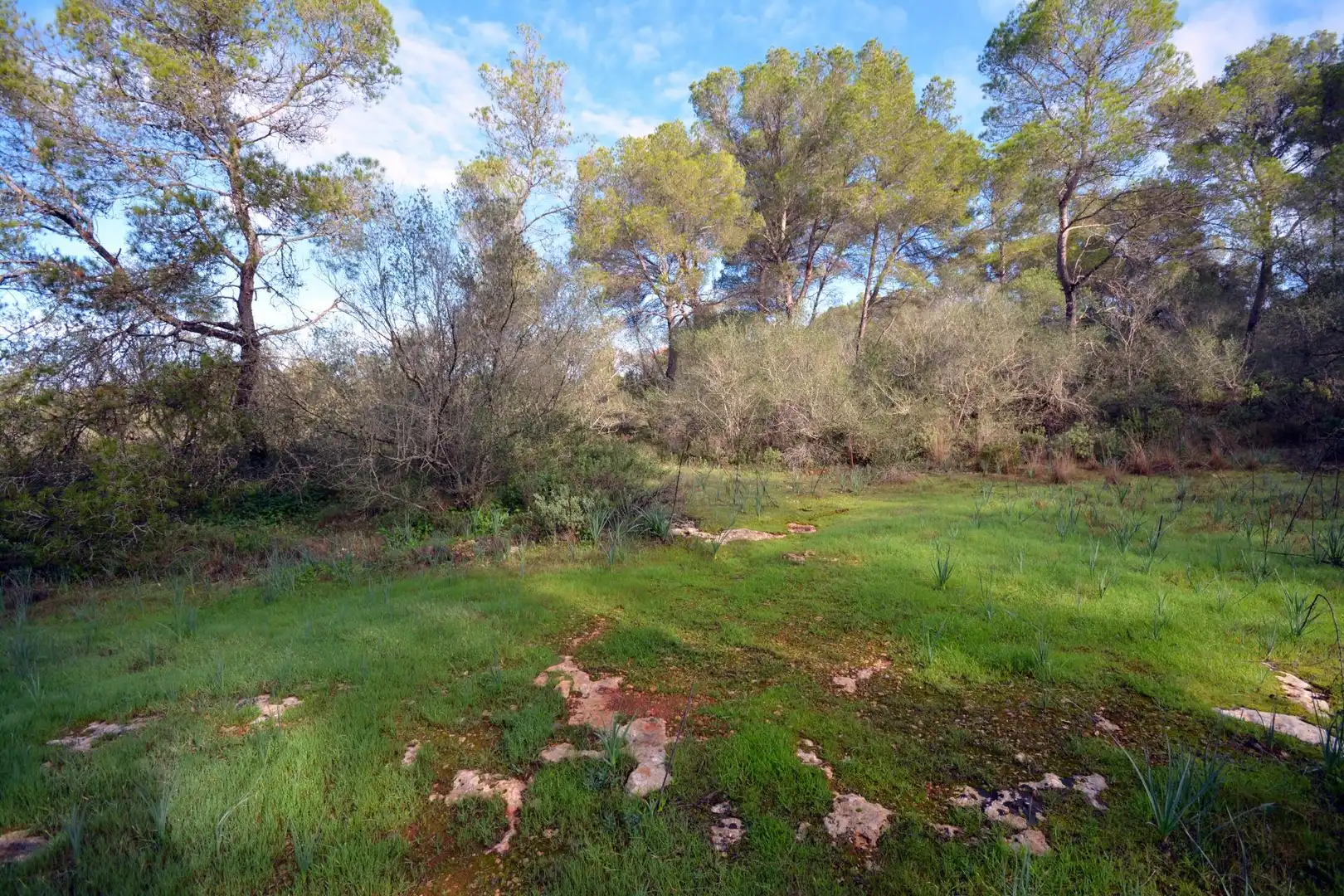 Casa rústica amb piscina en venda a Llevant, imagen 7