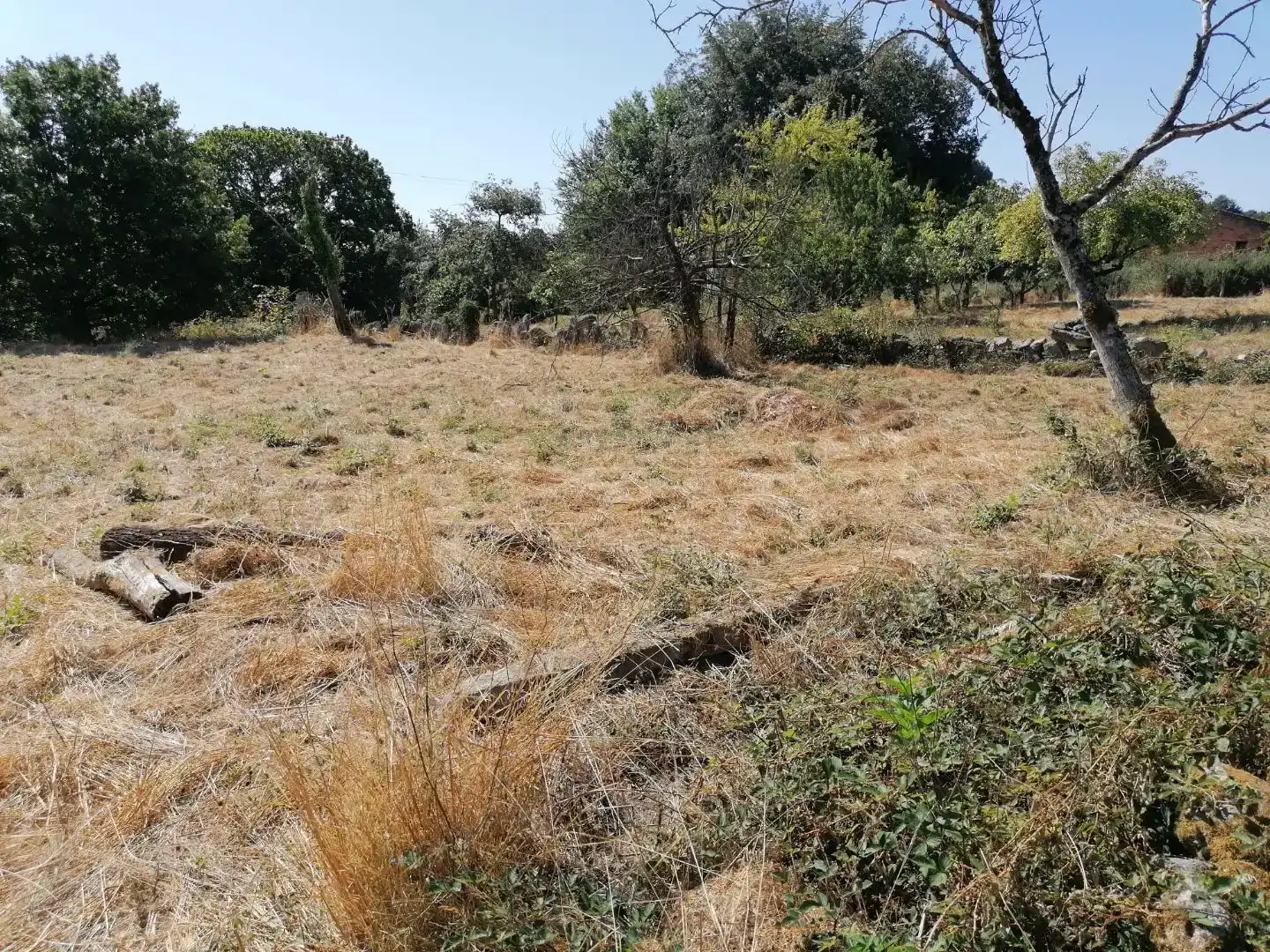 Casa o chalet en venta en Carretera Maside, 70, San Amaro