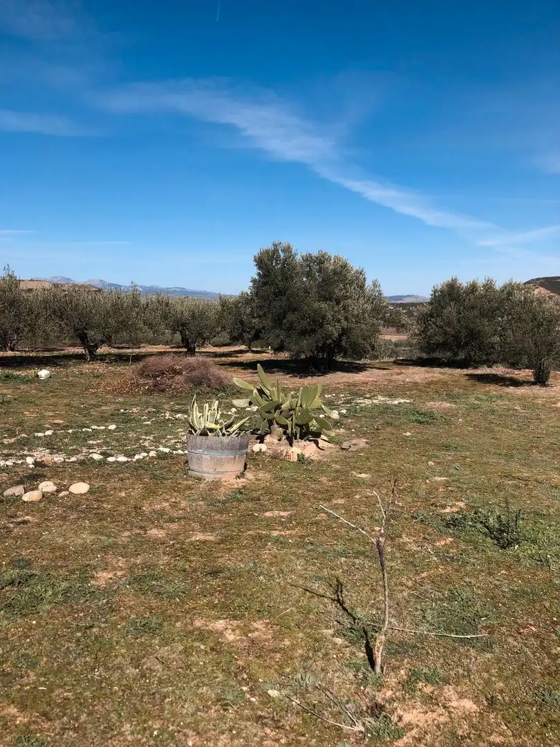 Rustikales Grundstück zum Verkauf in Villamediana de Iregua, imagen 3
