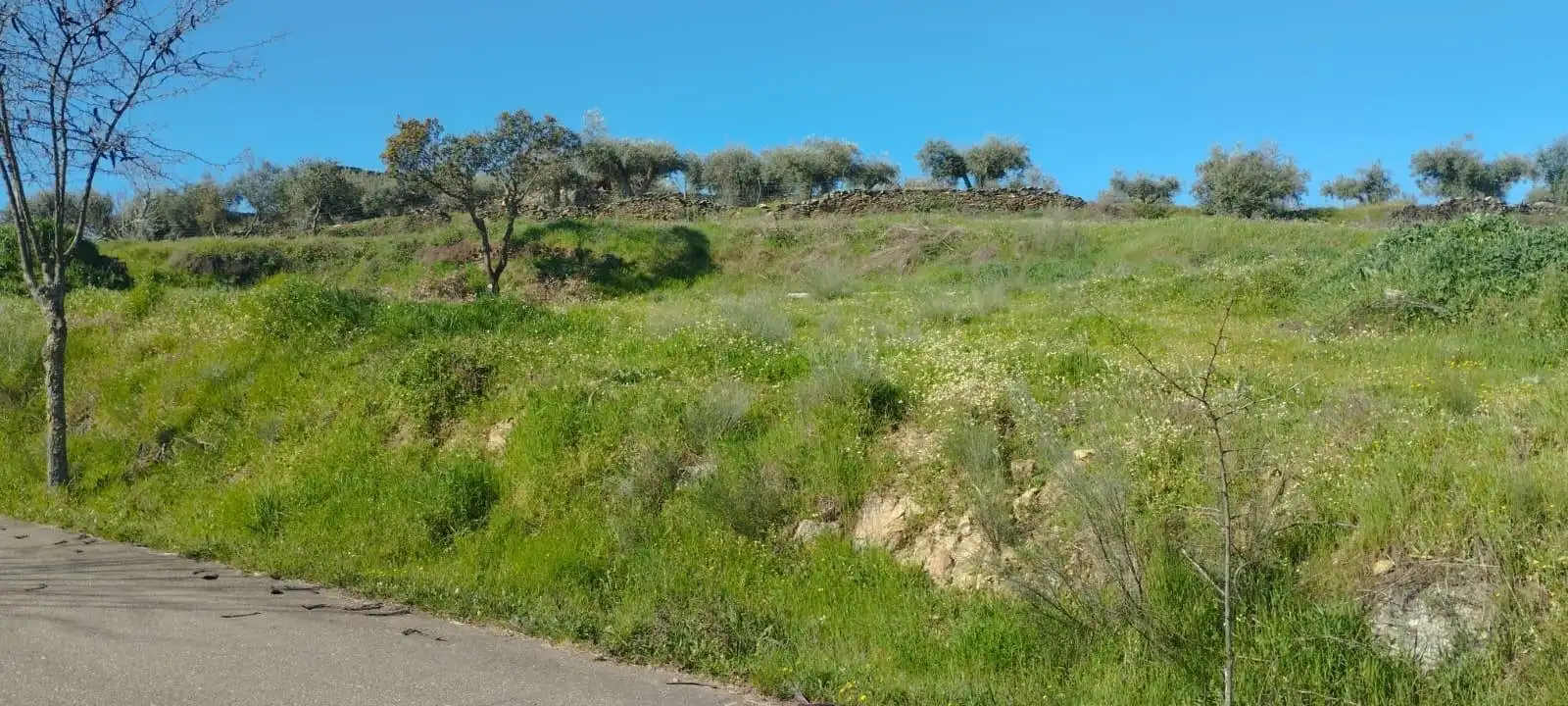 Casa o xalet en venda en Aldeacentenera amb Aire condicionat