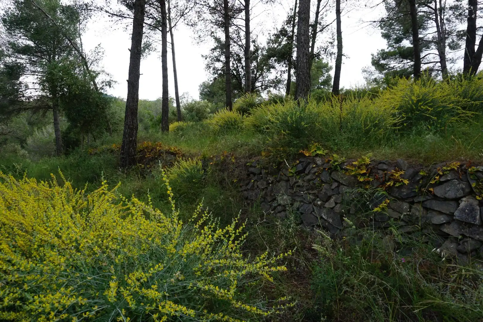 Terreno residenziale in vendita a Calle Ferreteries, imagen 20