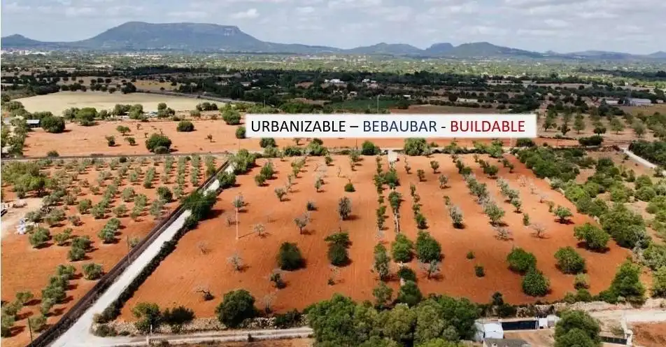 Terreno rustico in vendita a Llucmajor pueblo