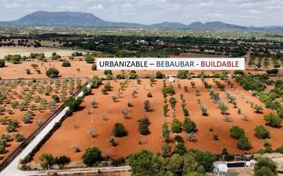 Land for sale in Llucmajor