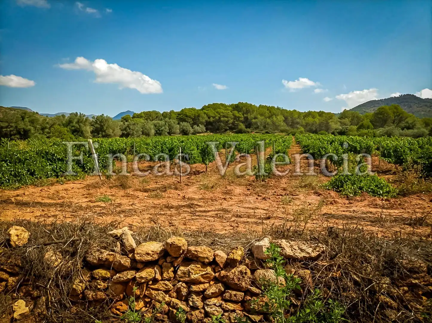 Country homes for sale in Calle SONEJA, Azuébar