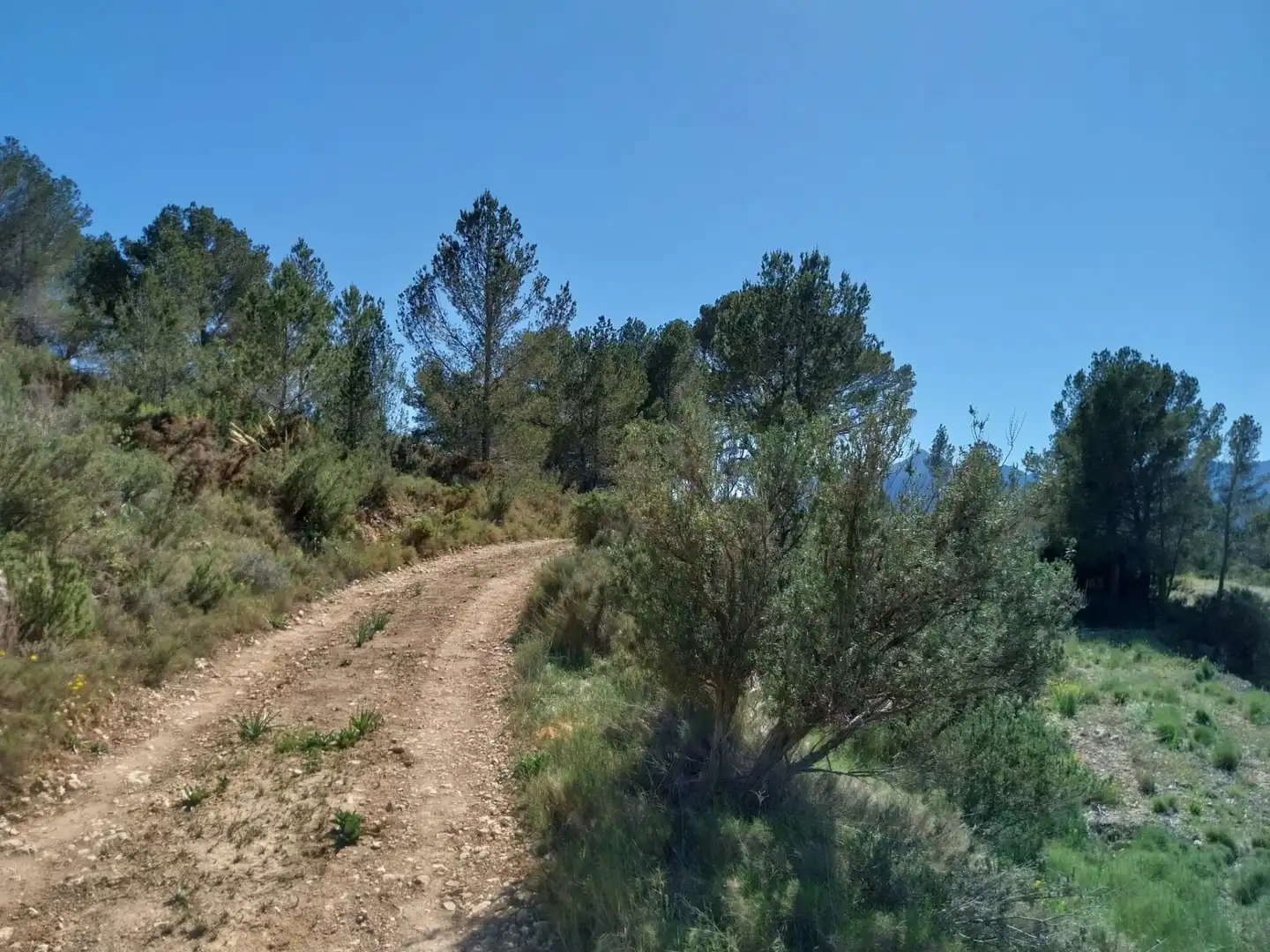 Terreno rustico in vendita a Lugar Castillo, imagen 53
