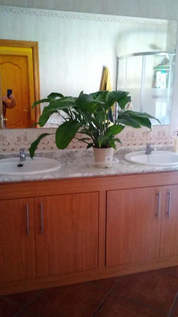 House with pool for sale in Antigua Nacional 420, imagen 25