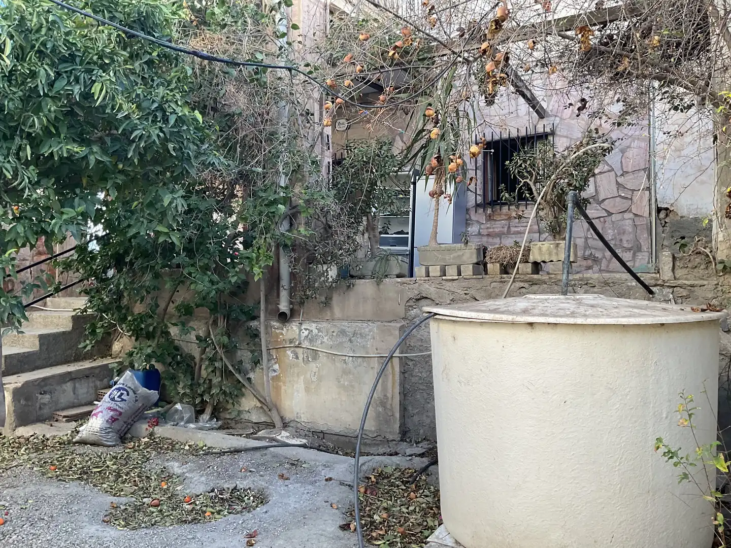 Garden of Country homes for sale in Pechina