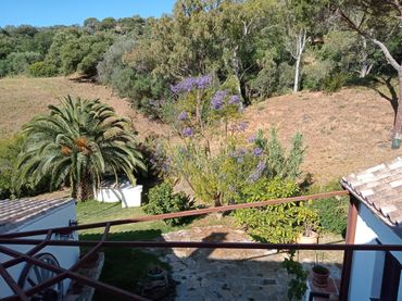 Haus mit Pool zum Verkauf in Casares pueblo
