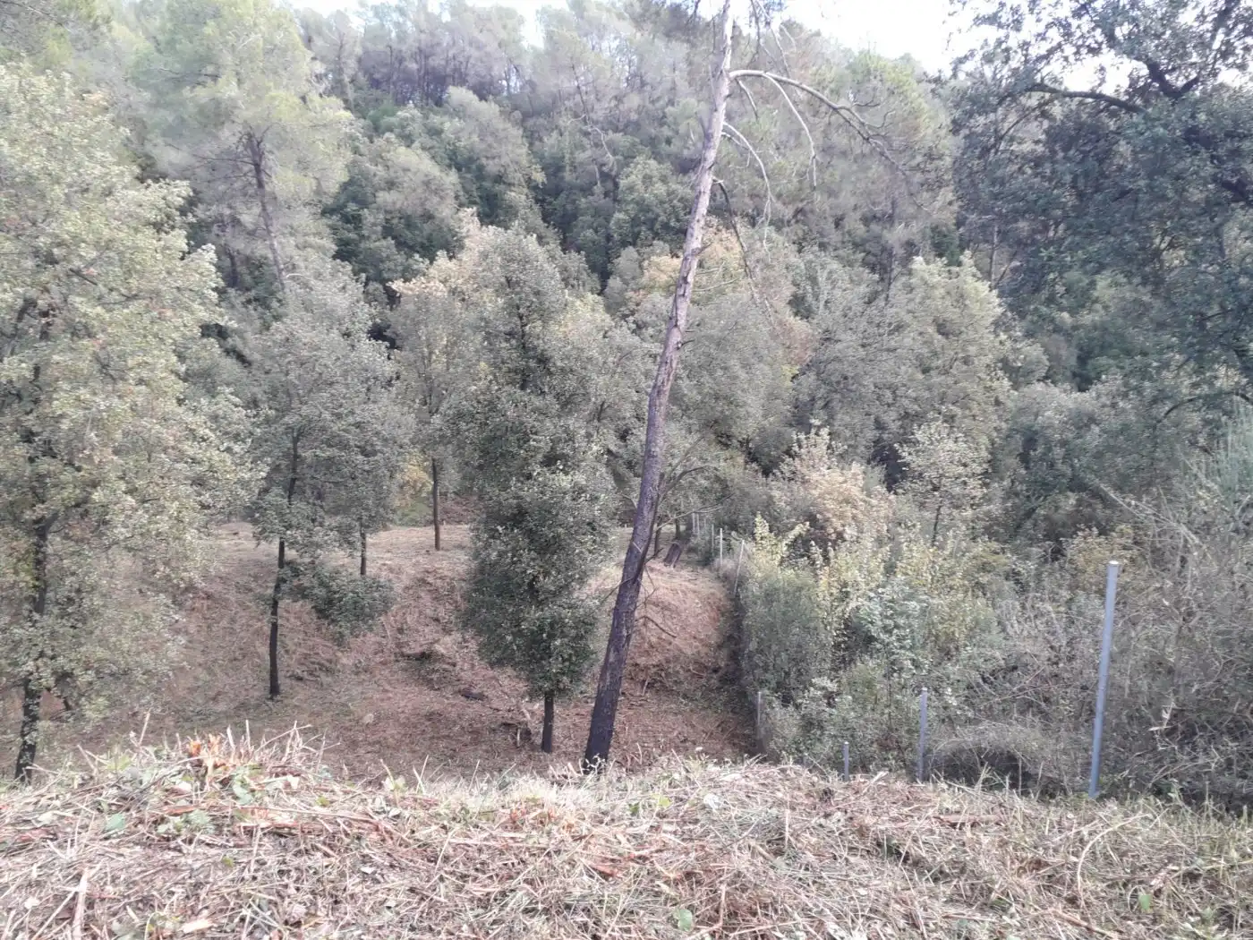 Wohnbaugrundstück zum Verkauf in can canyameres, imagen 4