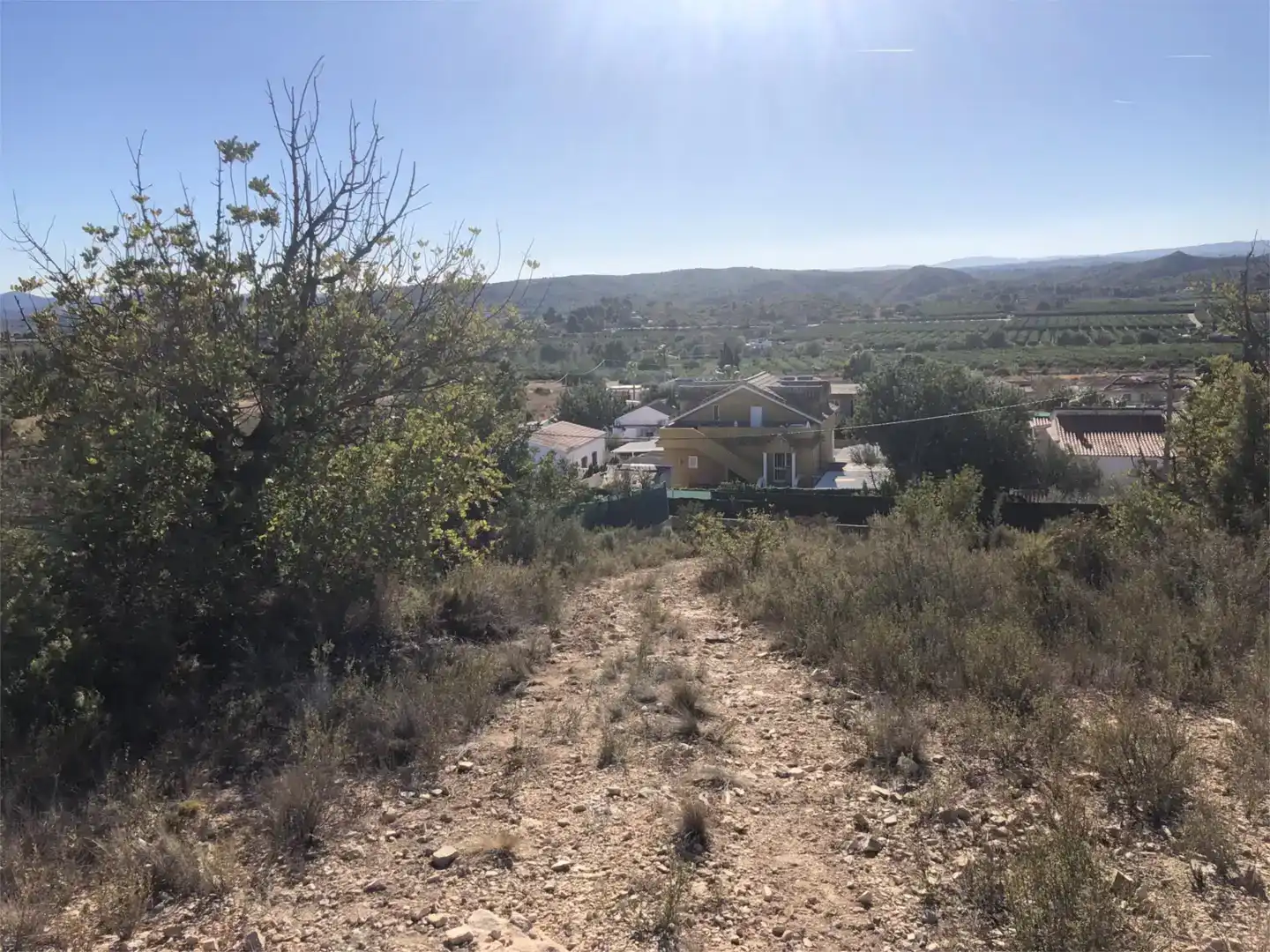 Terreno en venta en Pedralba