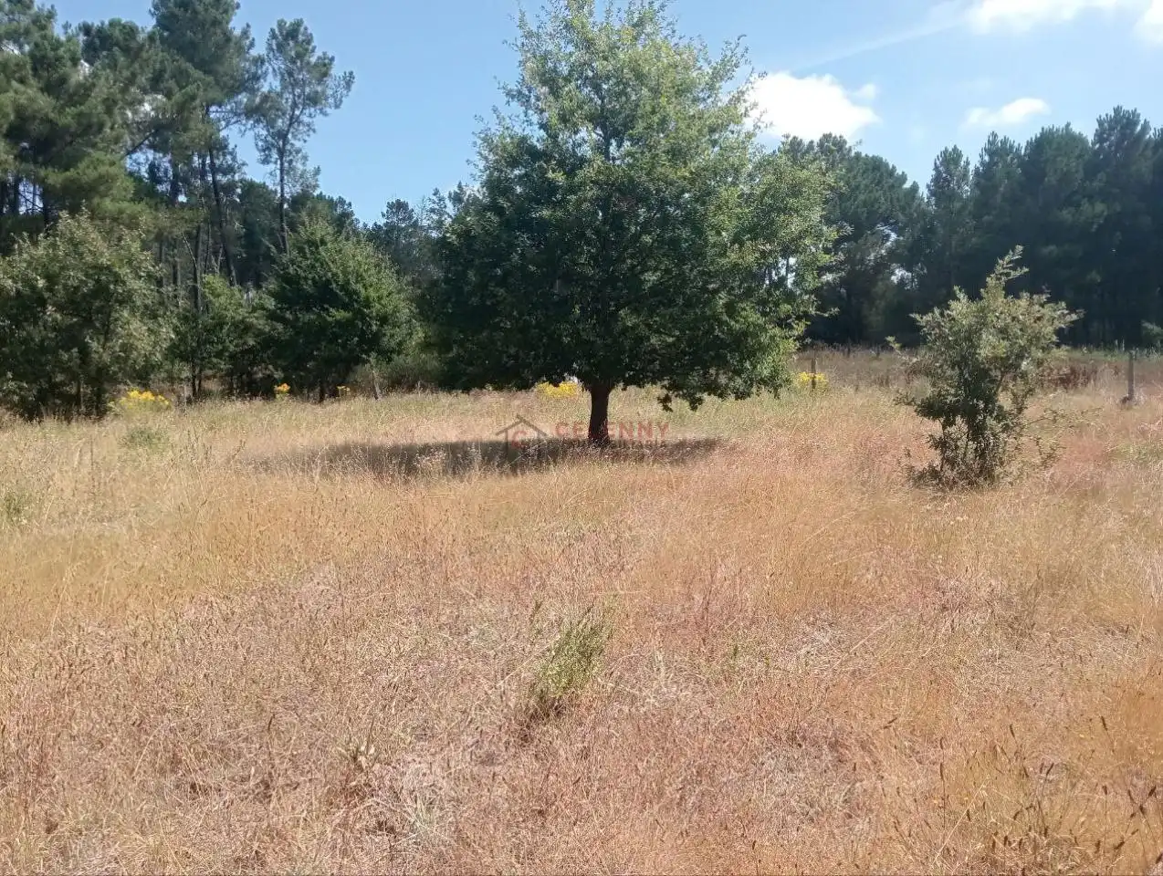 Terreni e lotti in vendita a San Cibrao das Viñas, imagen 11