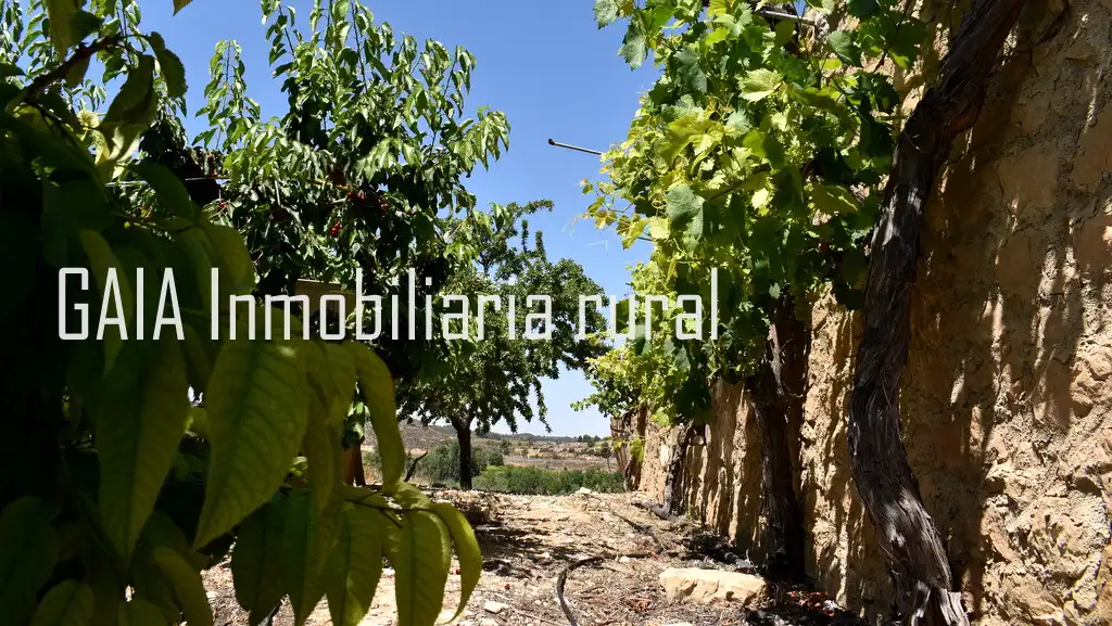 Casa rústica en venda a Maella, imagen 5