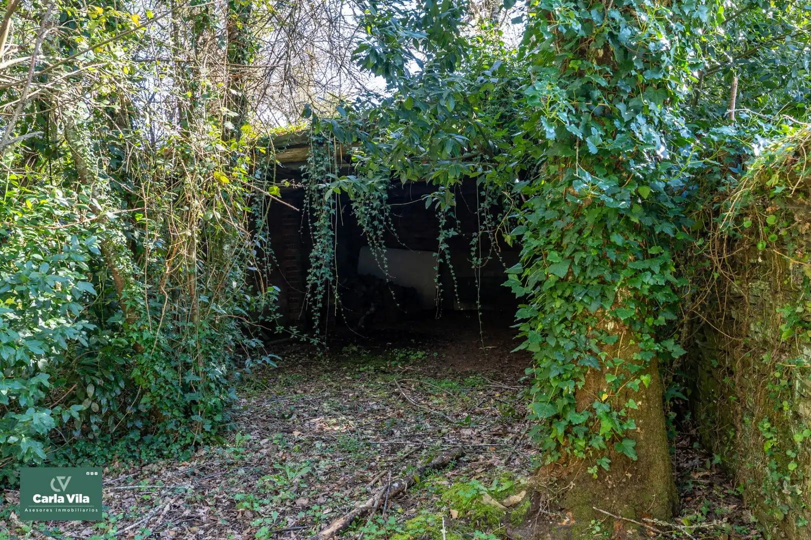 Vista exterior de Finca rústica en venta en Lugo con Jardín privado y Balcón