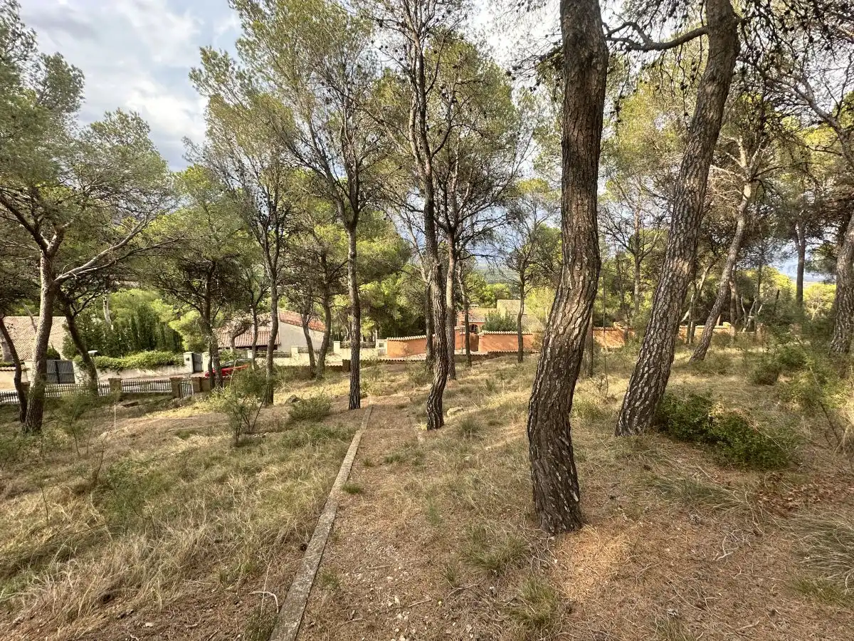 Wohnbaugrundstück zum Verkauf in Torres Torres, imagen 49