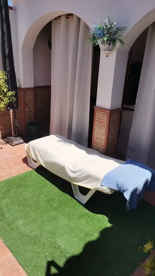 Adossat amb jardí en venda a Calle Toledo, imagen 31