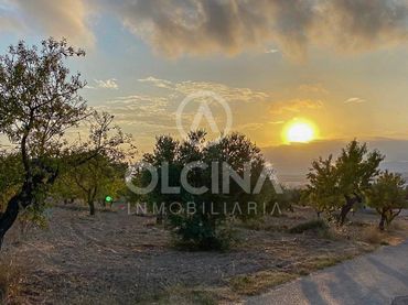 Terreno rustico in vendita a Ibi