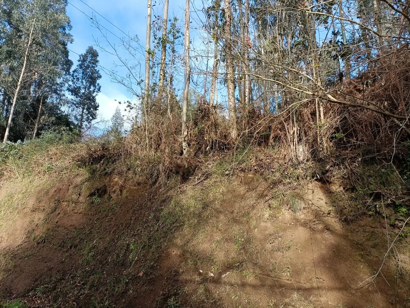 Terrain rustique à vendre à Oza dos Ríos, imagen 4