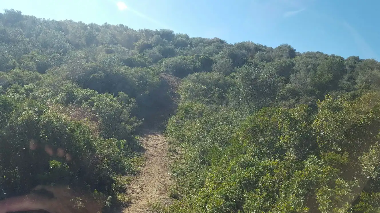Rural land for sale in Carretera Sevilla Utrera, imagen 4