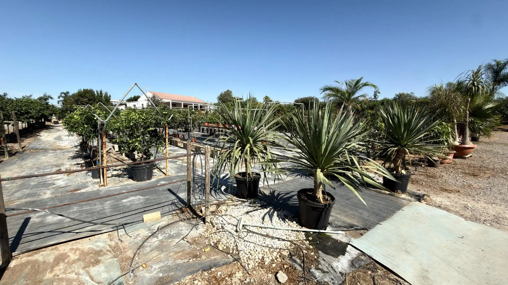 Xalet amb piscina en venda a Cartaya, imagen 68