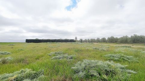VENTA SUELO RUSTICO, ZONA EL VIVERO MÉRIDA, immagine 4