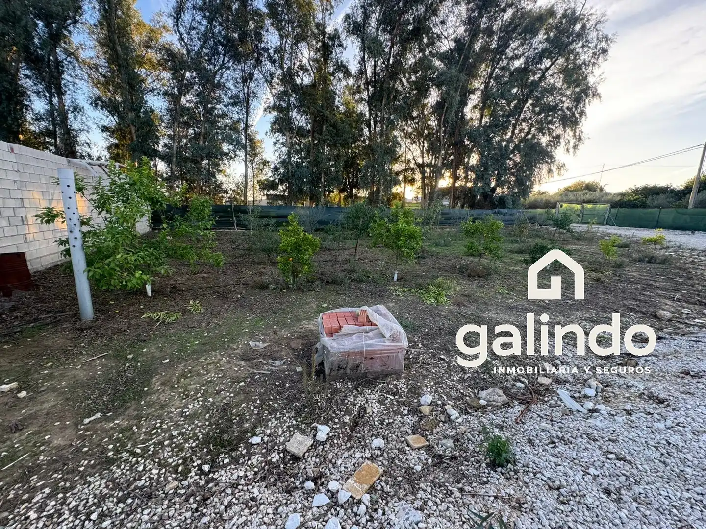 Country homes for sale in Paradas