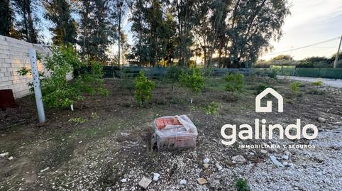 Foto 5 de Finca rústica en venda a Paradas, Sevilla