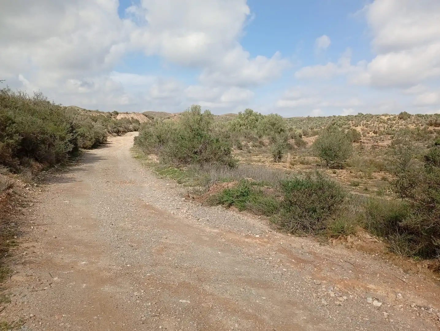 Terreny en venda a Rambla La Higuera, Albox