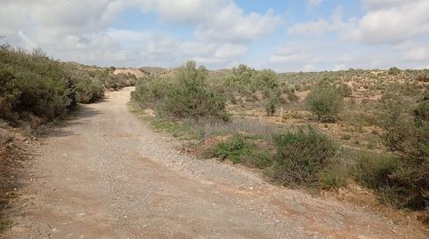 Foto 2 de Terreny en venda a Rambla la Higuera, Albox, Almería