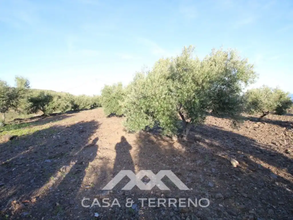 Residential for sale in Vélez-Málaga