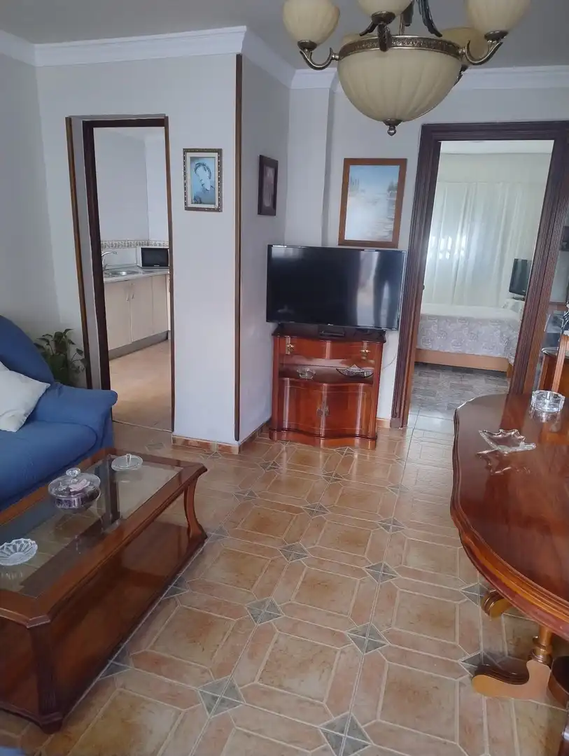 Living room of Houses for sale in Málaga Capital  with Air Conditioner, Heating and Terrace