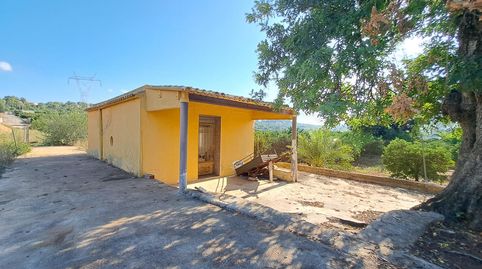 Terreno rústico junto a la Urbanización San Cristóbal de Alberic