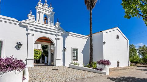 Foto 3 de Finca rústica en venda a Valencina de la Concepción, Sevilla