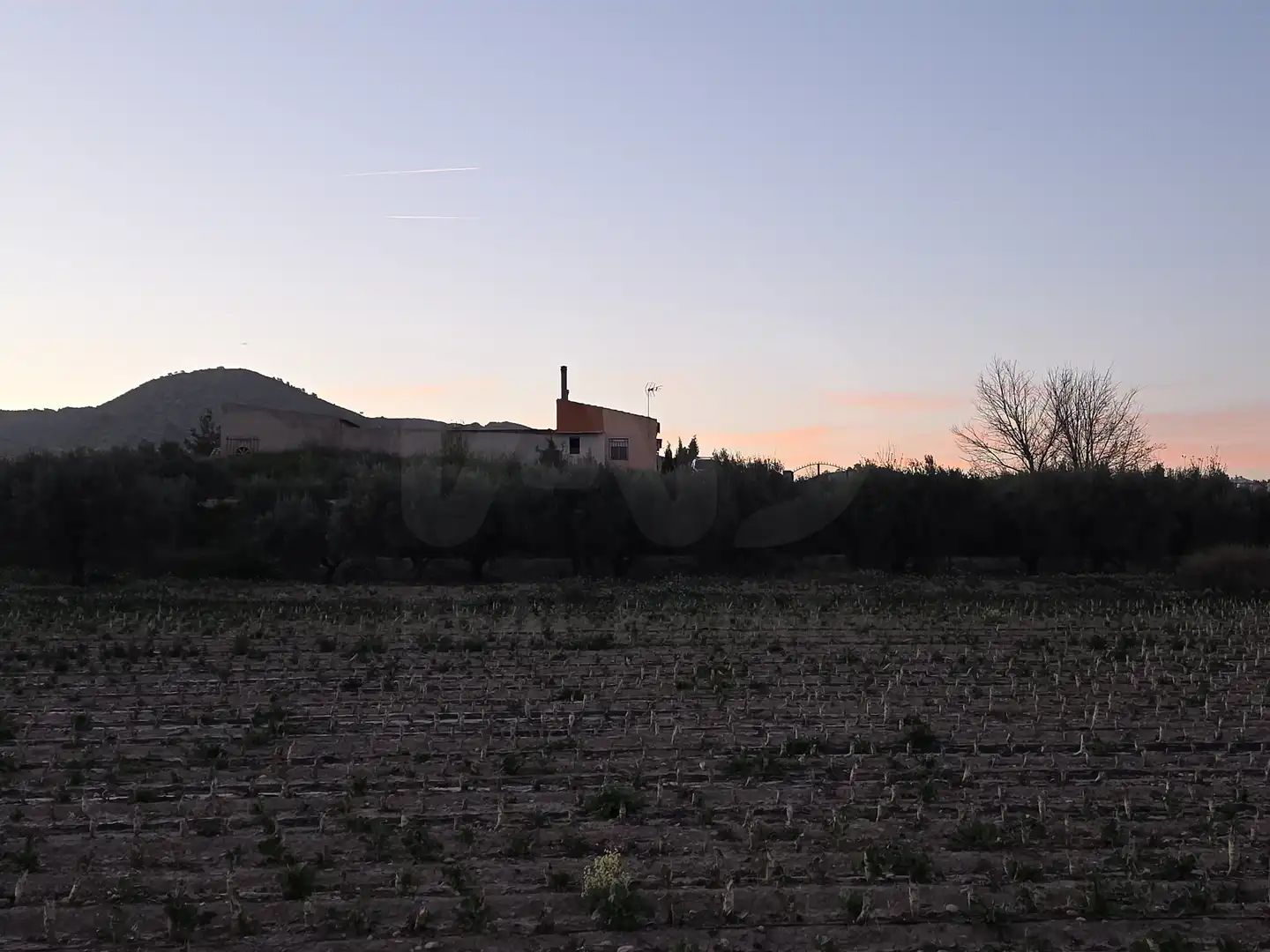 Terreny rústic en venda a Calasparra