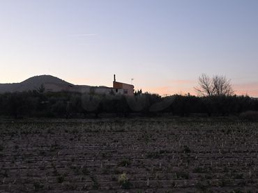 Terreny rústic en venda a Calasparra