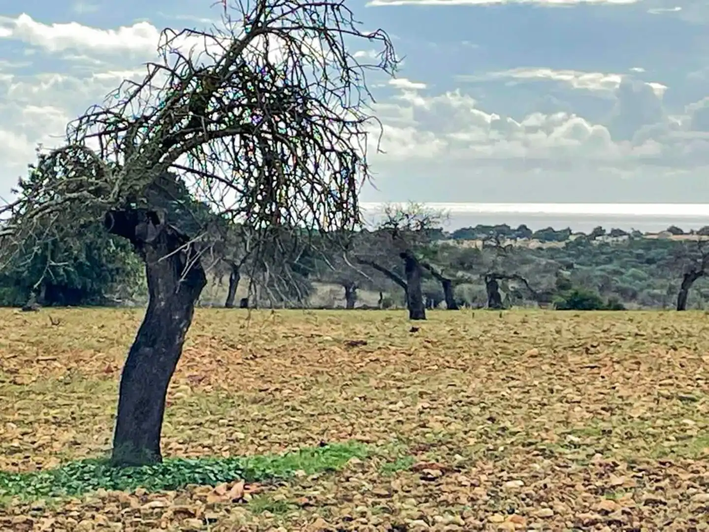 Finca rústica en venda en Manacor amb Aire condicionat, Calefacció i Traster