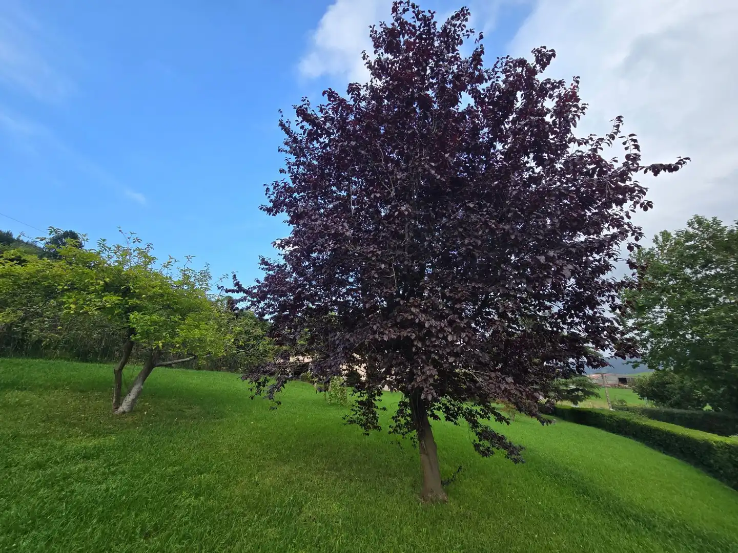 Casa con jardín en venta en tresgrandas, imagen 15