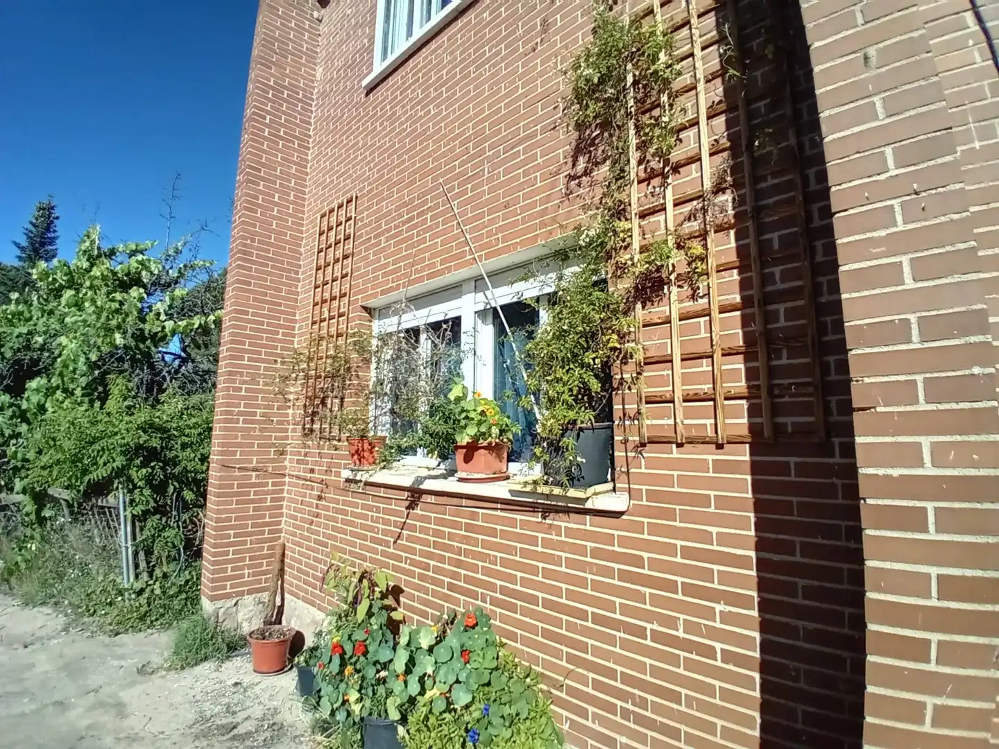 Villa con terrazza in vendita a Pedrezuela, imagen 6