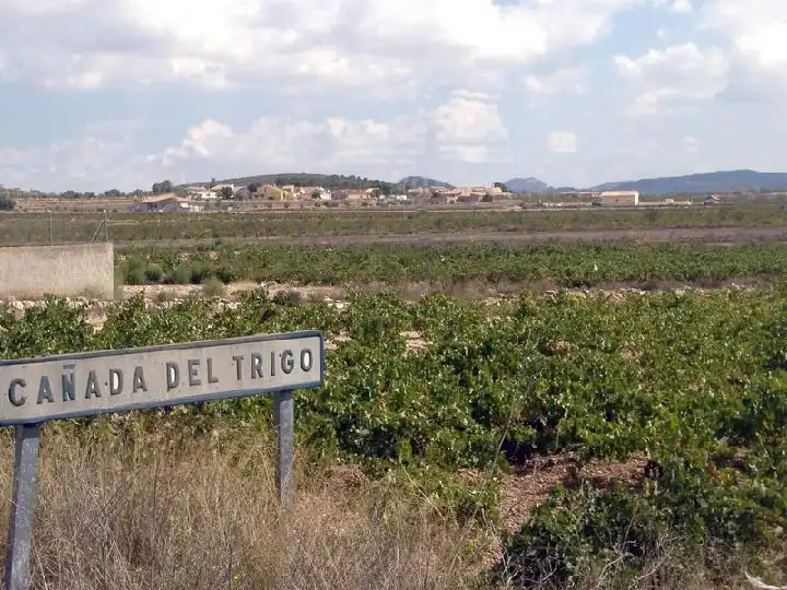 Vista exterior de Finca rústica en venda en Jumilla