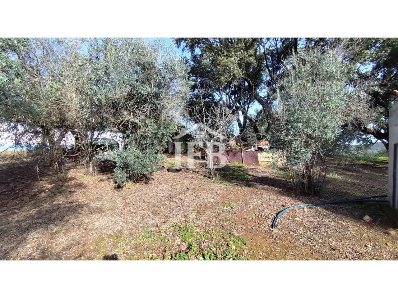Terreno en venta en La Codosera