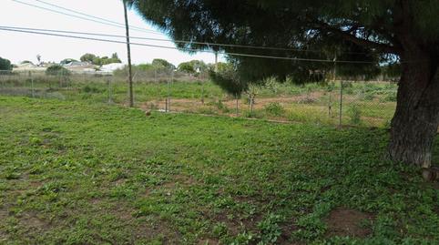 Foto 5 de Finca rústica en venda a Villanueva Golf, Puerto Real