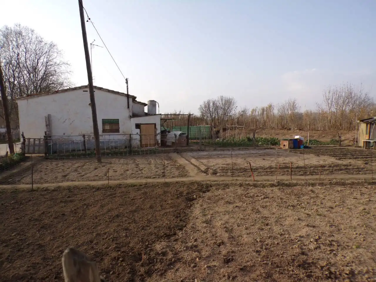 Terreno rustico in vendita a Calle cami ral 187, imagen 22