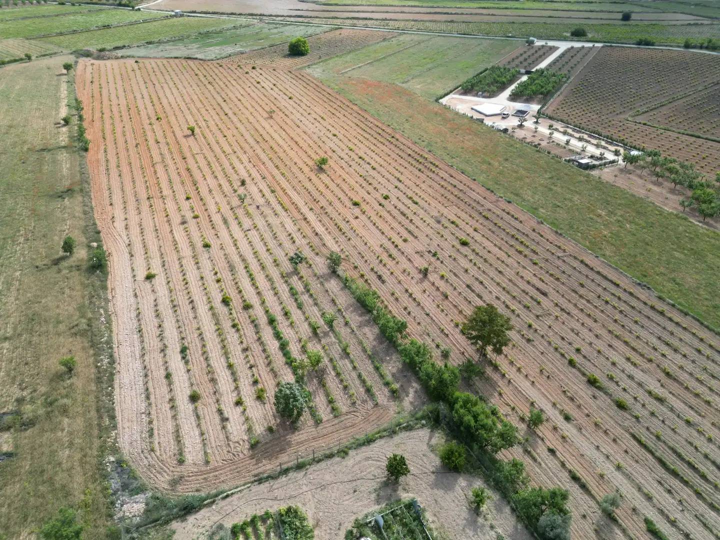 Terreno residencial en venta en El Pinós / Pinoso, imagen 8