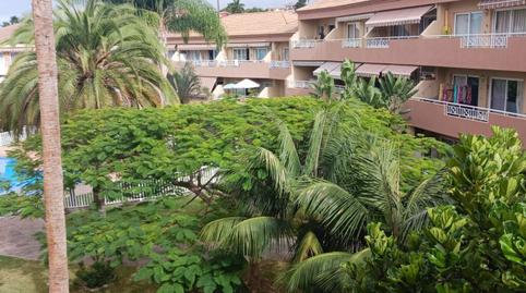 Foto 2 de Piso de alquiler en San Antonio - Las Arenas, Puerto de la Cruz