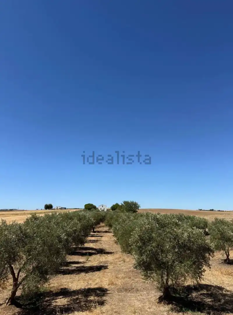 Casa rústica amb piscina en venda a Diseminado Diseminados, imagen 4