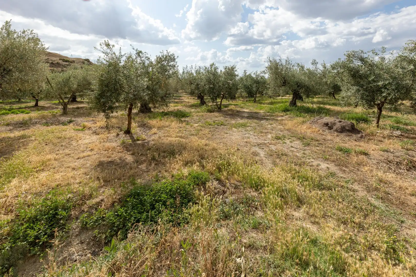 Terreno rustico in vendita a Calle POL 1, PARC 176, imagen 5