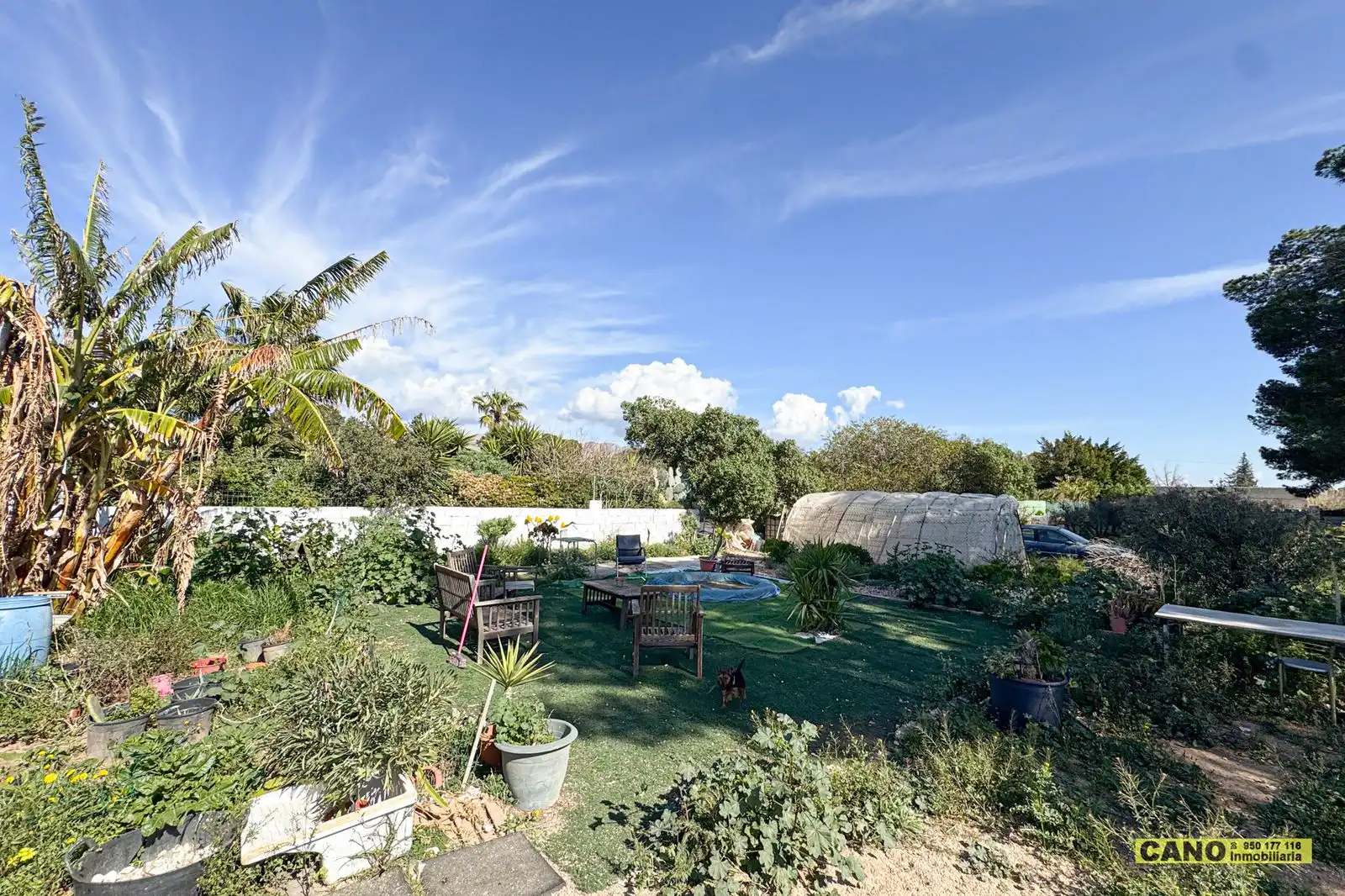 Jardín de Casa o chalet en venta en Níjar con Piscina