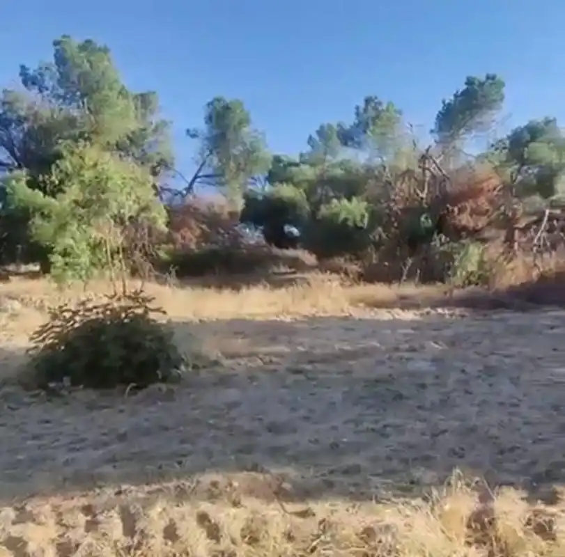 Terreny residencial en venda a Camino Huerto, imagen 5