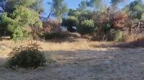 Foto 5 de Residencial en venda a Camino Huerto, Zona Monte El Pilar, Majadahonda